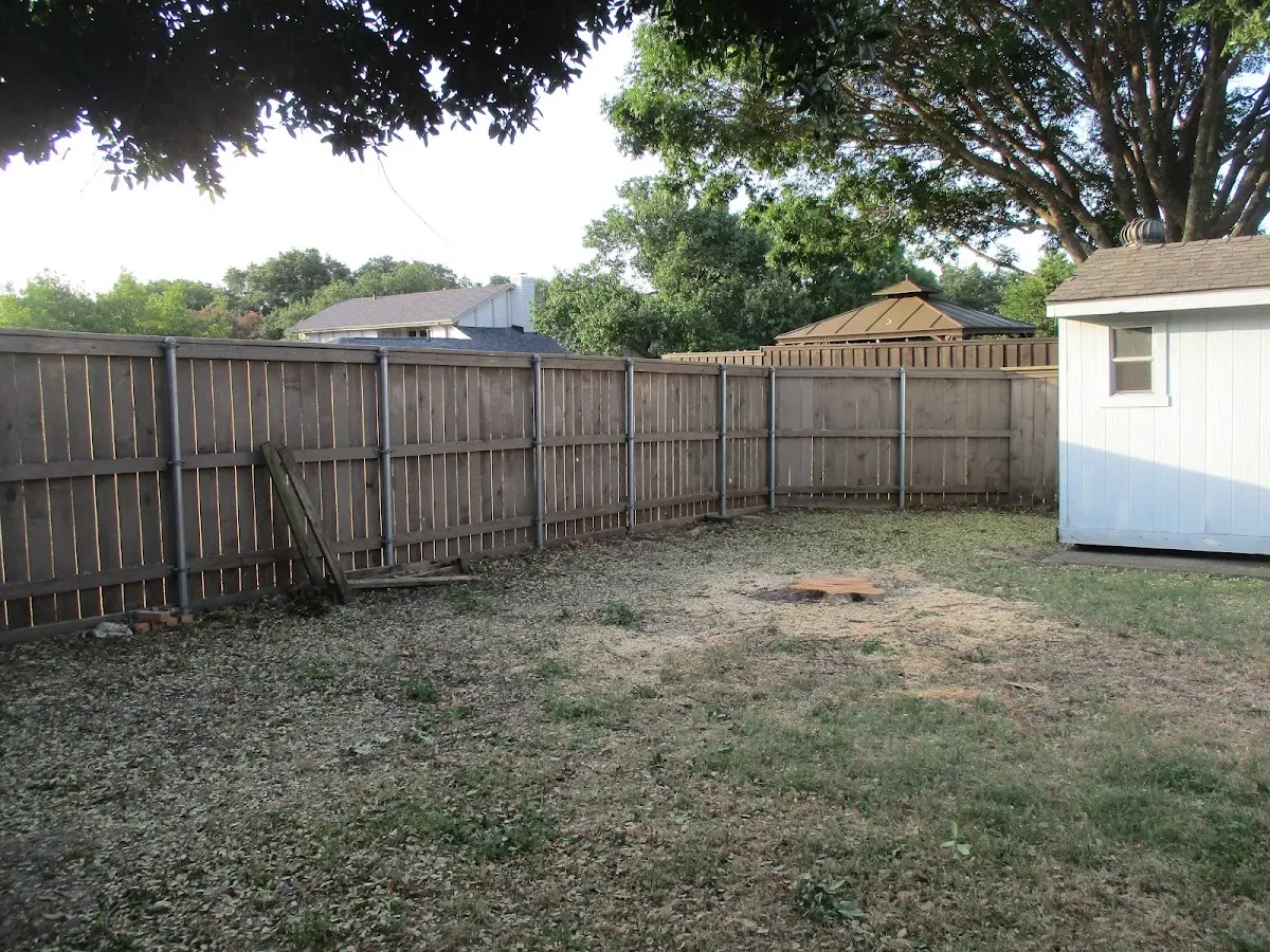 Cleared yard after professional tree removal in Brunswick